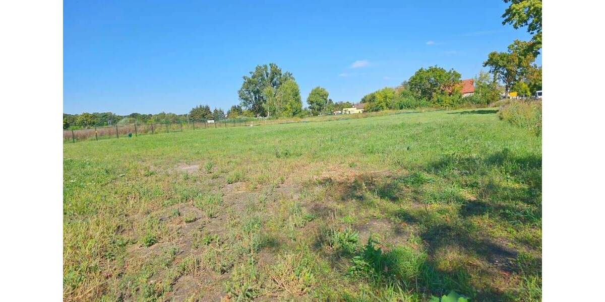 Grundstück Küstriner Vorland Manschnow - 130.000&euro; | Angebot:25699638