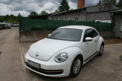 VW Beetle 55.000 km 10.999 &euro; Rietz Neuendorf OT Alt Golm 15848