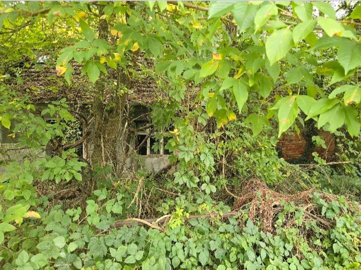 Einfamilienhaus Brieskow-Finkenheerd Finkenheerd - 55.000&euro; | Angebot:26710195
