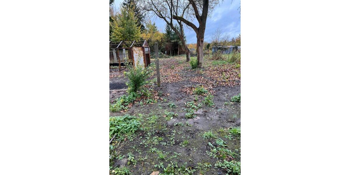 Doppelhaushälfte Frankfurt (Oder) Booßen - 3 Zimmer, 120 m&sup2;, 135.000&euro; | Angebot:25922320