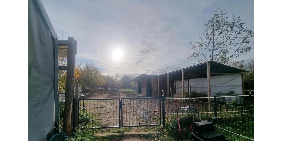 Einfamilienhaus Seelow - 3 Zimmer, 92 m&sup2;, 480.000&euro; | Angebot:25056266