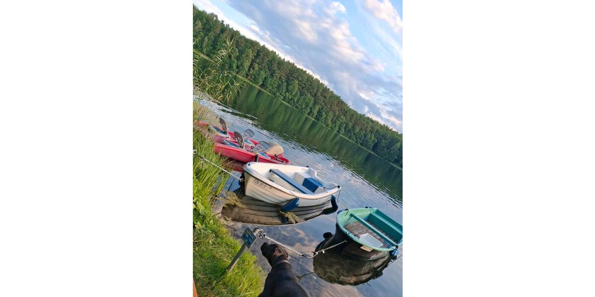 Bungalow Eisenhüttenstadt - 4 Zimmer, 42 m&sup2;, 12.900&euro; | Angebot:24525349