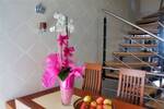 Doppelhaushälfte Eisenhüttenstadt - 4 Zimmer, 92 m&sup2;, 317.000&euro; | Angebot:26733481