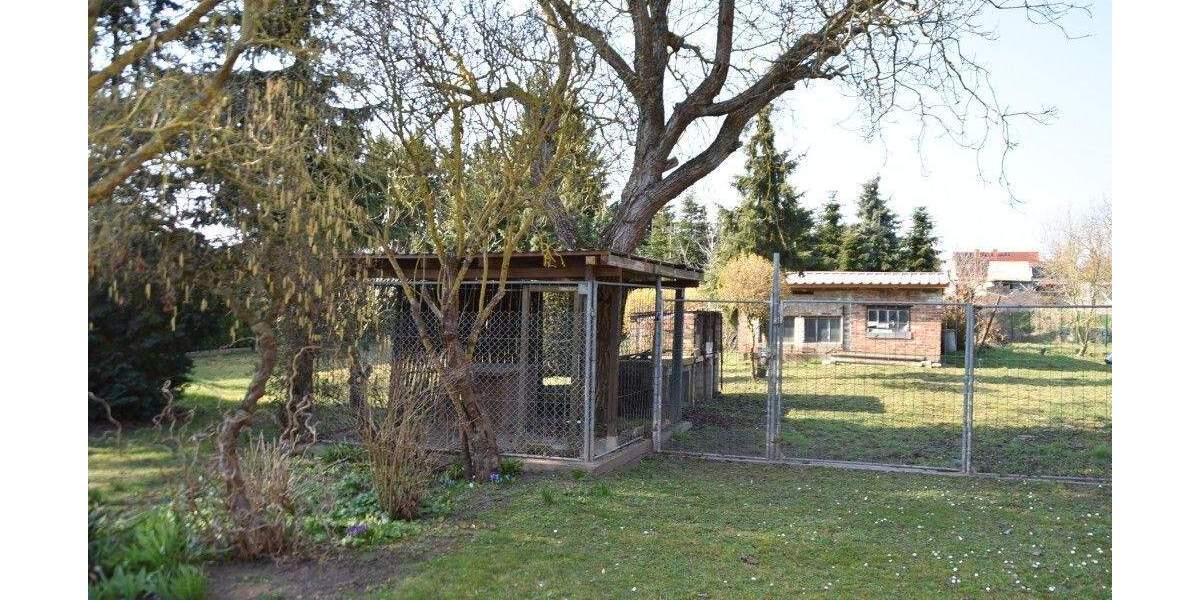 Mehrfamilienhaus, Wohnhaus Lindendorf OT Libbenichen Libbenichen - 7 Zimmer, 220 m&sup2;, 275.000&euro; | Angebot:25670659