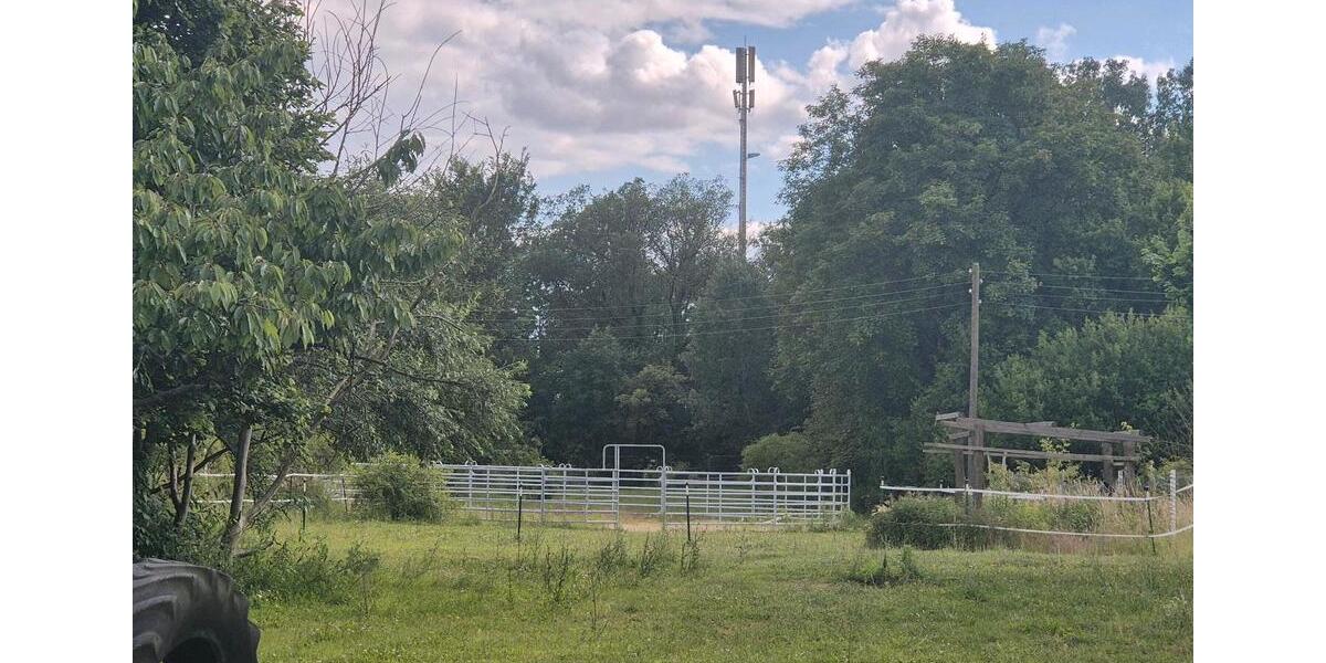 Einfamilienhaus Seelow - 3 Zimmer, 92 m&sup2;, 480.000&euro; | Angebot:25056266