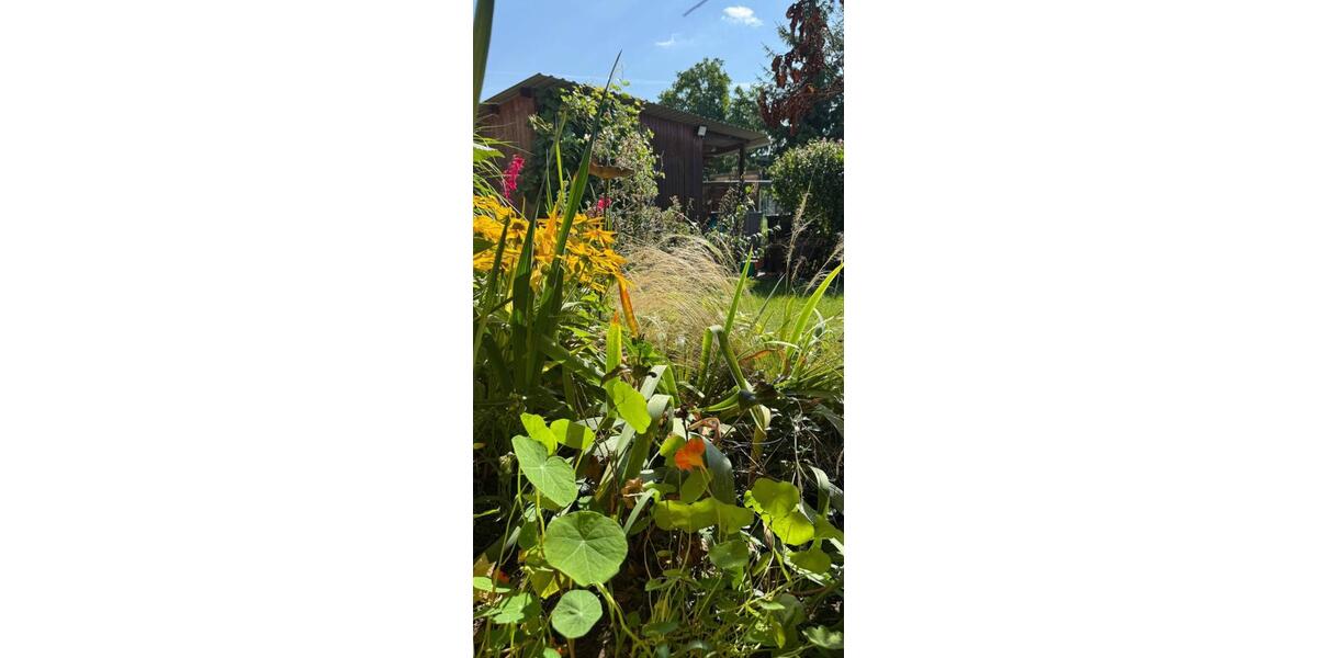 Einfamilienhaus Eisenhüttenstadt - 390.000&euro; | Angebot:25793150