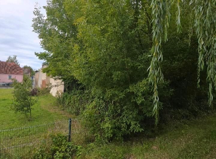 Einfamilienhaus Brieskow-Finkenheerd Finkenheerd - 55.000&euro; | Angebot:26710195