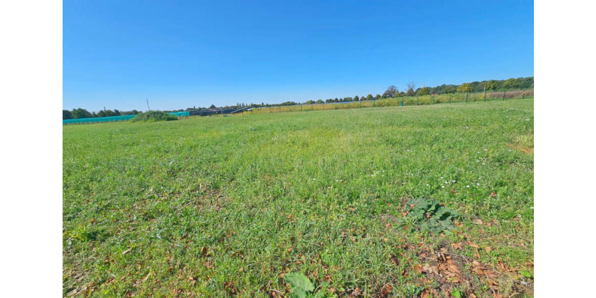 Grundstück Küstriner Vorland Manschnow - 130.000&euro; | Angebot:25715490