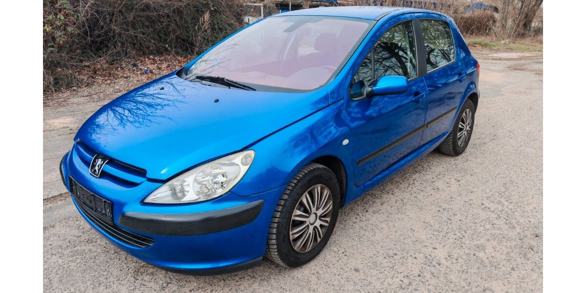 Peugeot 307 229.224 km 1.300 &euro; Lebus 15326