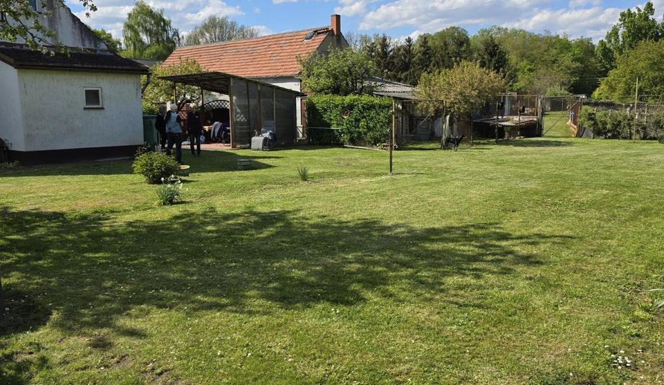 Bauernhaus, Landhaus Küstriner Vorland - 120.000&euro; | Angebot:25842142