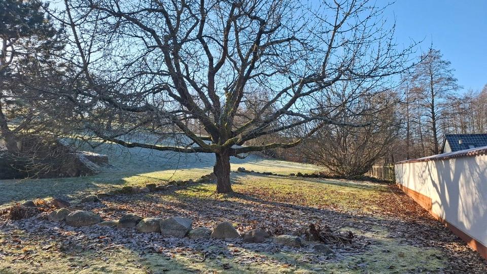 Bauernhaus, Landhaus Neuzelle - 7 Zimmer, 160 m&sup2;, 1.995&euro; | Angebot:26006320