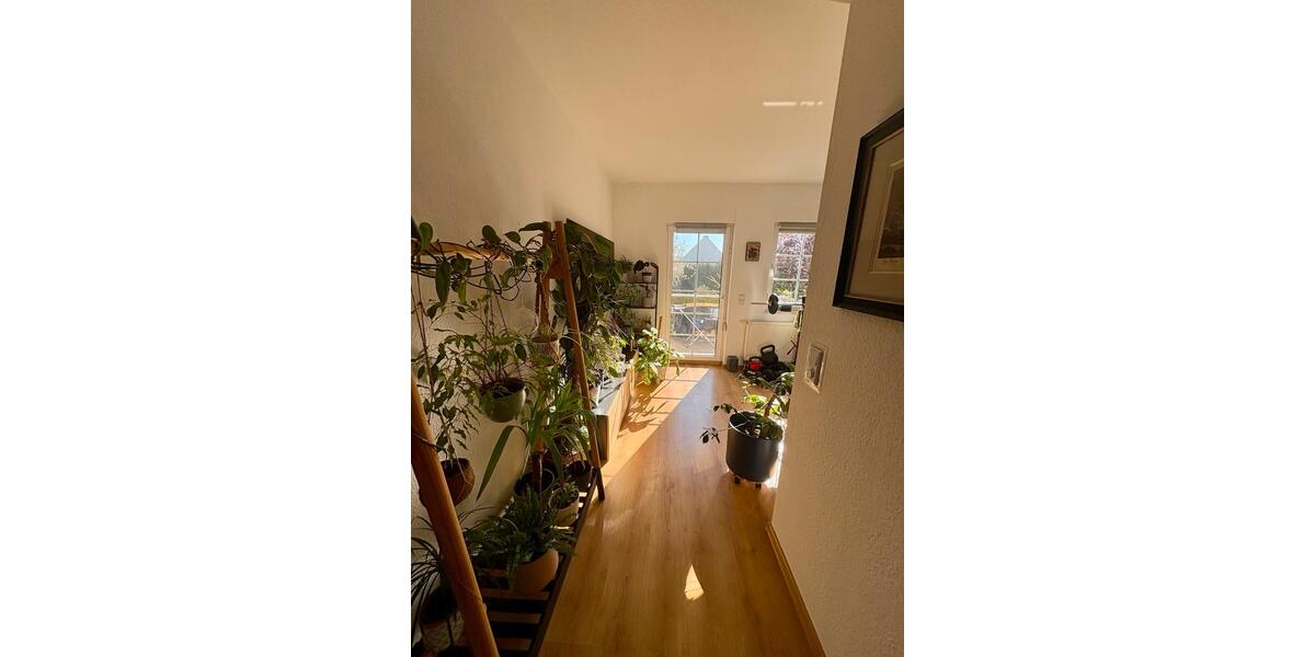 Erdgeschoßwohnung Frankfurt (Oder) - 2 Zimmer, 41 m&sup2;, 530&euro; | Angebot:26678567