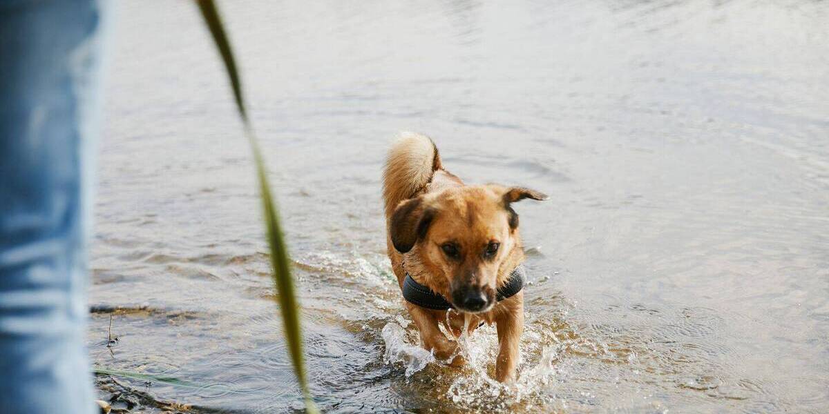 Etagenwohnung Müllrose - 2 Zimmer, 59 m&sup2;, 235.900&euro; | Angebot:25957383