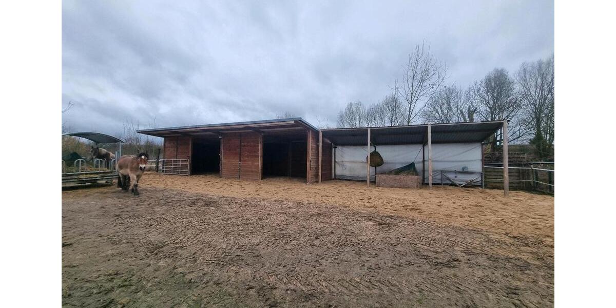 Einfamilienhaus Seelow - 3 Zimmer, 92 m&sup2;, 480.000&euro; | Angebot:25056266