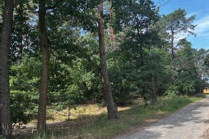 Grundstück Briesen - 130.000&euro; | Angebot:26165293