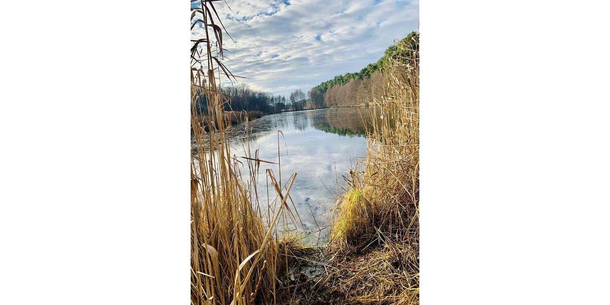 Einfamilienhaus Beeskow - 4 Zimmer, 107 m&sup2;, 380.000&euro; | Angebot:25782530