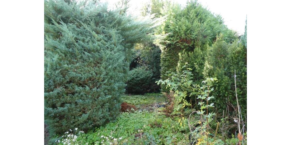 Einfamilienhaus Jacobsdorf - 4 Zimmer, 75 m&sup2;, 170.000&euro; | Angebot:26670561