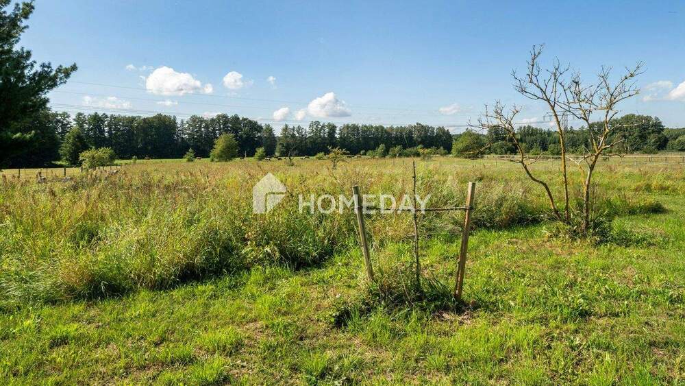 Doppelhaushälfte Briesen Alt Madlitz - 3 Zimmer, 177 m&sup2;, 499.000&euro; | Angebot:25798417