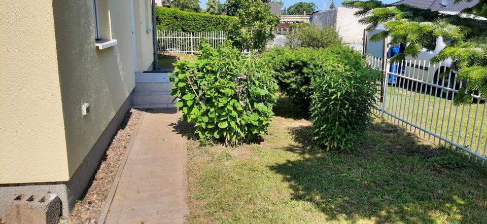 Einfamilienhaus Lebus - 4 Zimmer, 124 m&sup2;, 295.000&euro; | Angebot:26721565