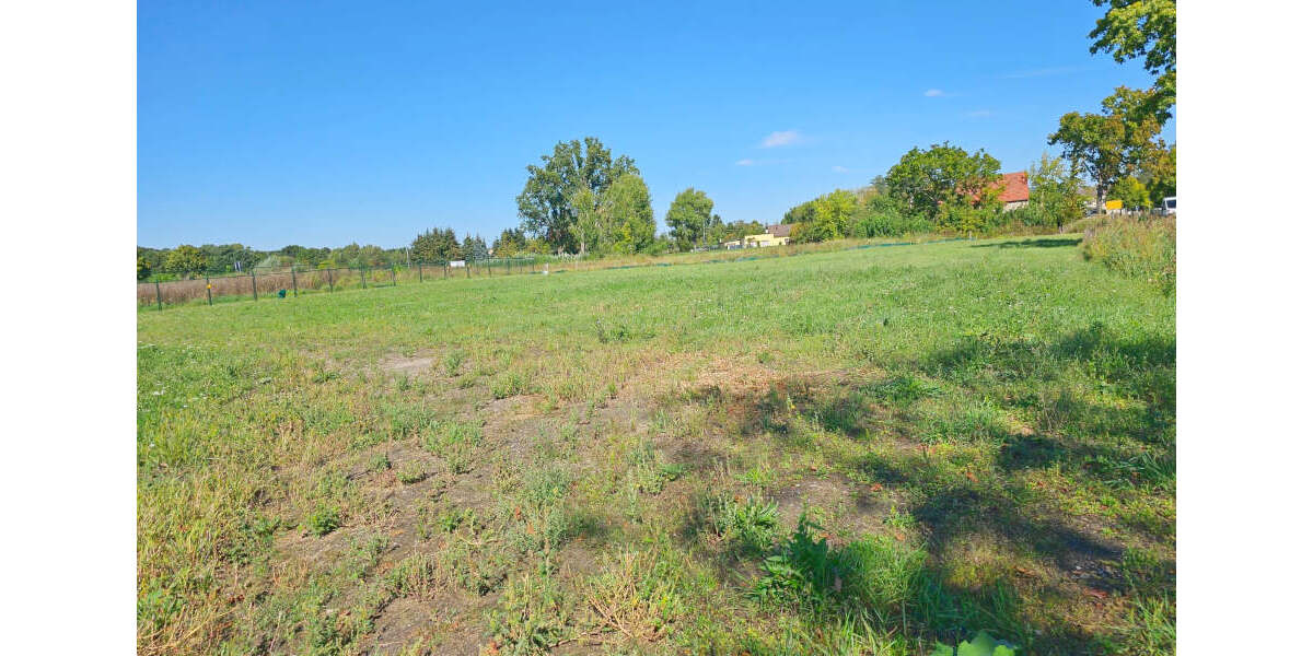 Grundstück Küstriner Vorland Manschnow - 130.000&euro; | Angebot:25715490