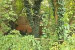 Einfamilienhaus Brieskow-Finkenheerd Finkenheerd - 55.000&euro; | Angebot:26710195