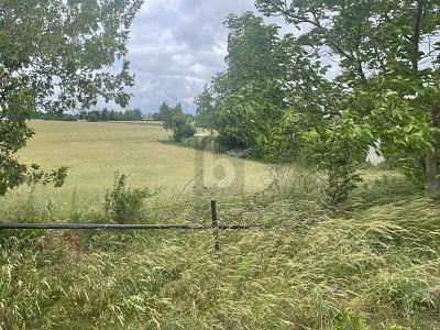 HIER KÖNNTE IHR NEUES HAUS STEHEN - Grundstück Lebus | Angebot:27318369