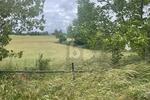 HIER KÖNNTE IHR NEUES HAUS STEHEN - Grundstück Lebus | Angebot:27318369