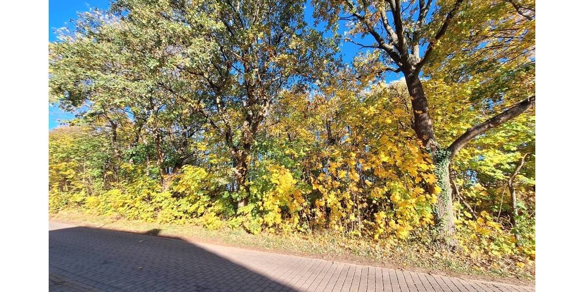 Grundstück Rietz-Neuendorf / Pfaffendorf Pfaffendorf - 75.400&euro; | Angebot:25726023