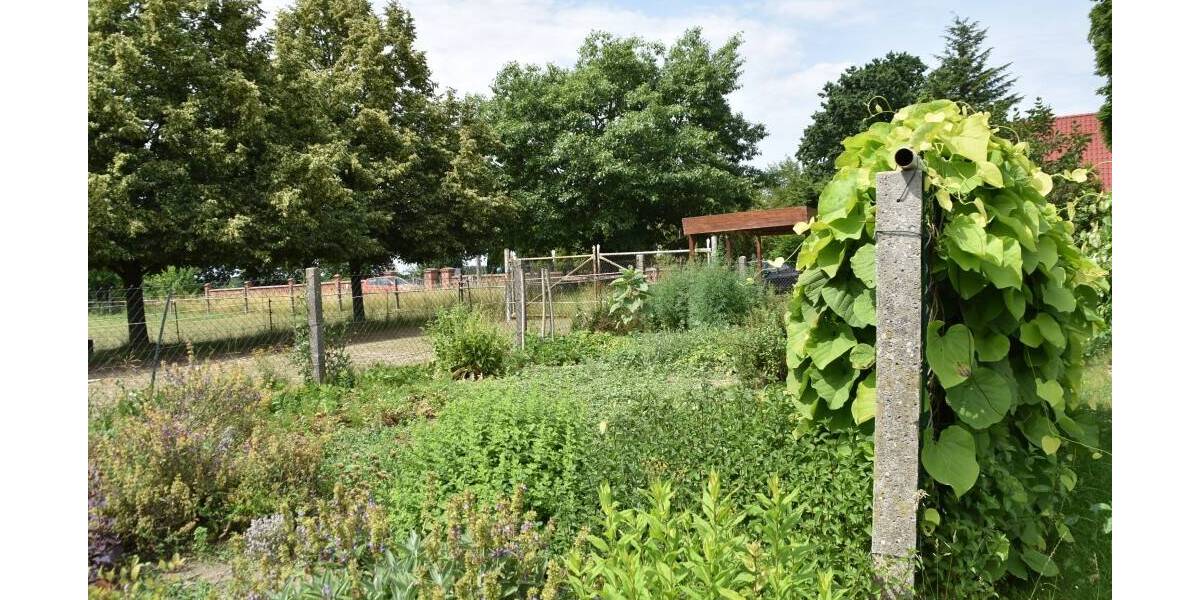 Einfamilienhaus Frankfurt (Oder) Hohenwalde - 5 Zimmer, 110 m&sup2;, 205.000&euro; | Angebot:25770082