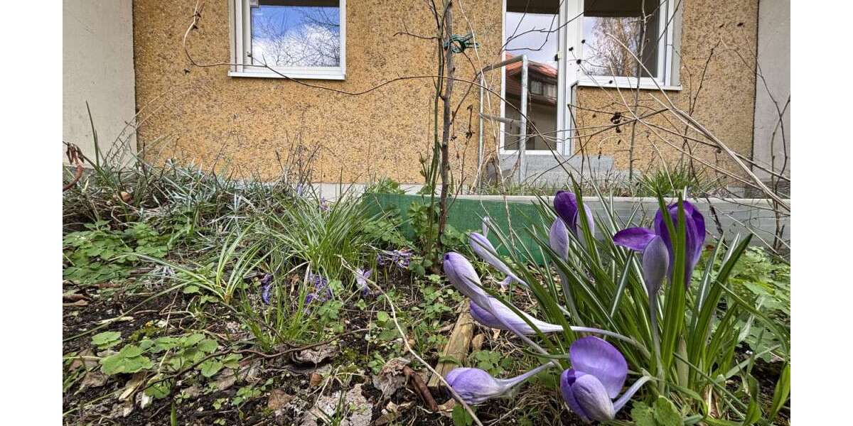 Etagenwohnung Frankfurt (Oder) Beresinchen - 2 Zimmer, 51 m&sup2;, 343&euro; | Angebot:25971214