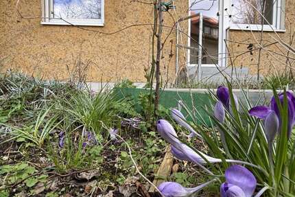 Wohnung Frankfurt (Oder) Beresinchen - 2 Zimmer, 51 m&sup2;, 343&euro; | Angebot:25971214