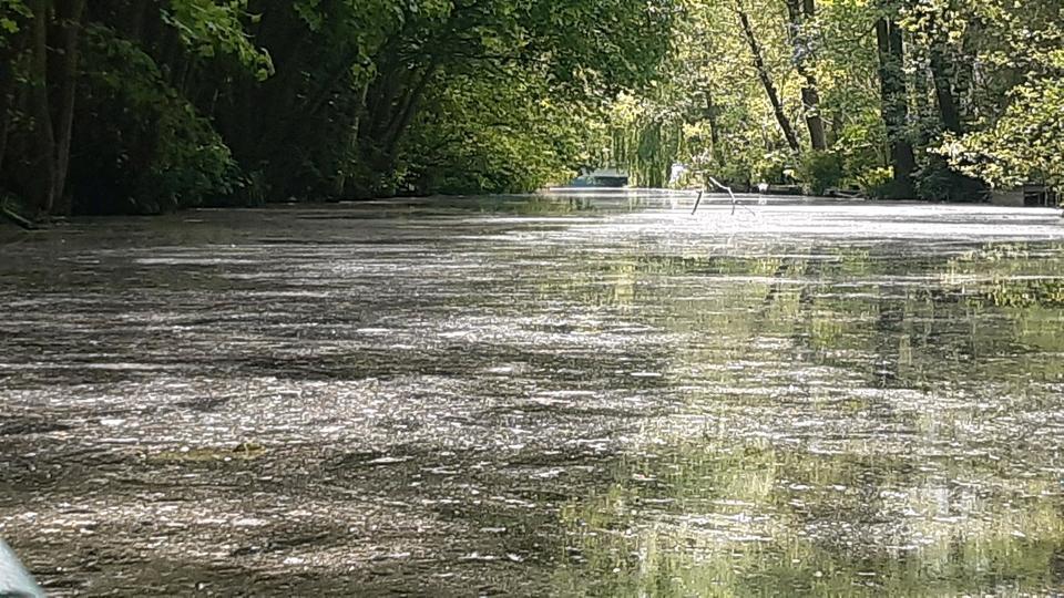 Einfamilienhaus Brieskow-Finkenheerd Finkenheerd - 3 Zimmer, 64 m&sup2;, 52.000&euro; | Angebot:25758893