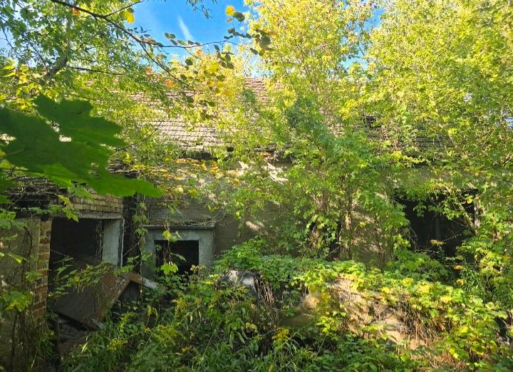 Einfamilienhaus Brieskow-Finkenheerd Finkenheerd - 55.000&euro; | Angebot:26710195