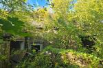 Einfamilienhaus Brieskow-Finkenheerd Finkenheerd - 55.000&euro; | Angebot:26710195