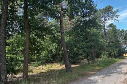 Grundstück Briesen - 130.000&euro; | Angebot:26156149