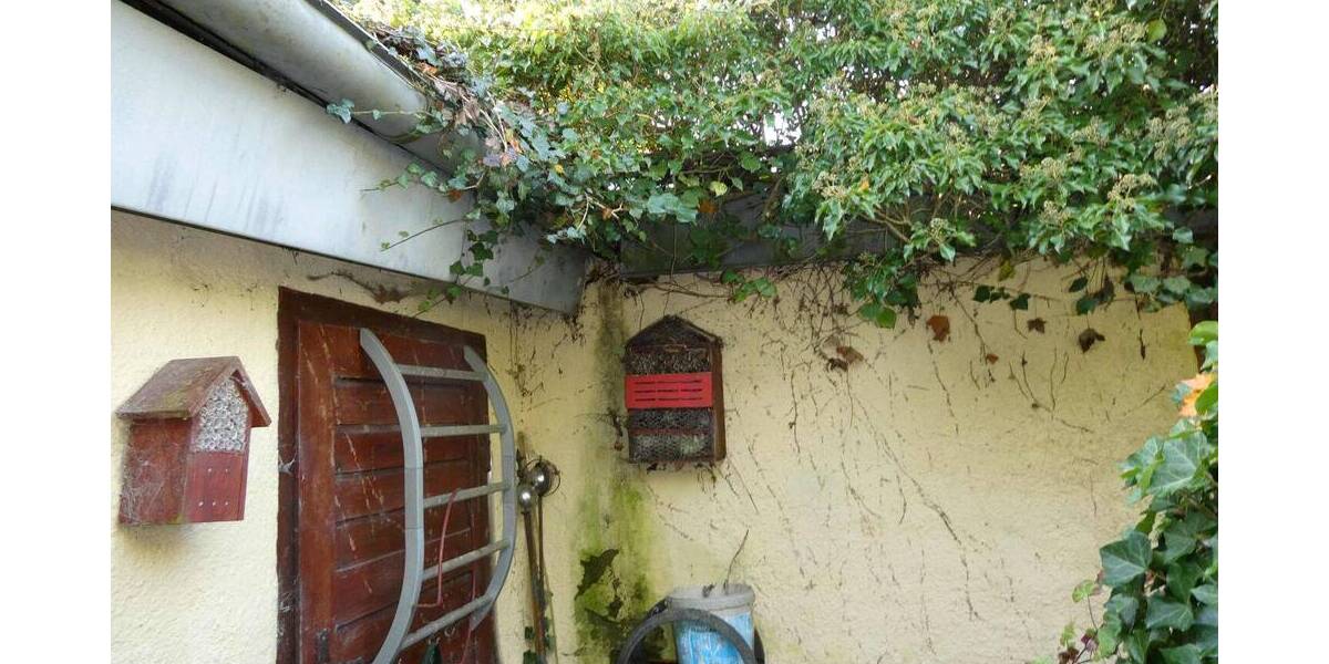 Einfamilienhaus Frankfurt (Oder) Frankfurt - 4 Zimmer, 67 m&sup2;, 100.000&euro; | Angebot:26346636