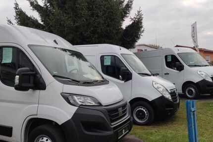 Opel Movano 50.000 km 17.850 &euro; Seelow bei Frankfurt/O. 15306