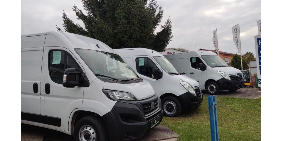 Opel Movano 50.000 km 17.850 &euro; Seelow bei Frankfurt/O. 15306