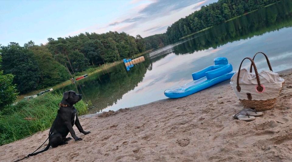 Bungalow Eisenhüttenstadt - 4 Zimmer, 42 m&sup2;, 12.900&euro; | Angebot:24525349