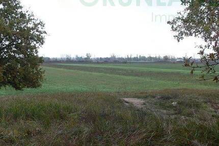 Grundstück Eisenhüttenstadt - 650.000&euro; | Angebot:25799335