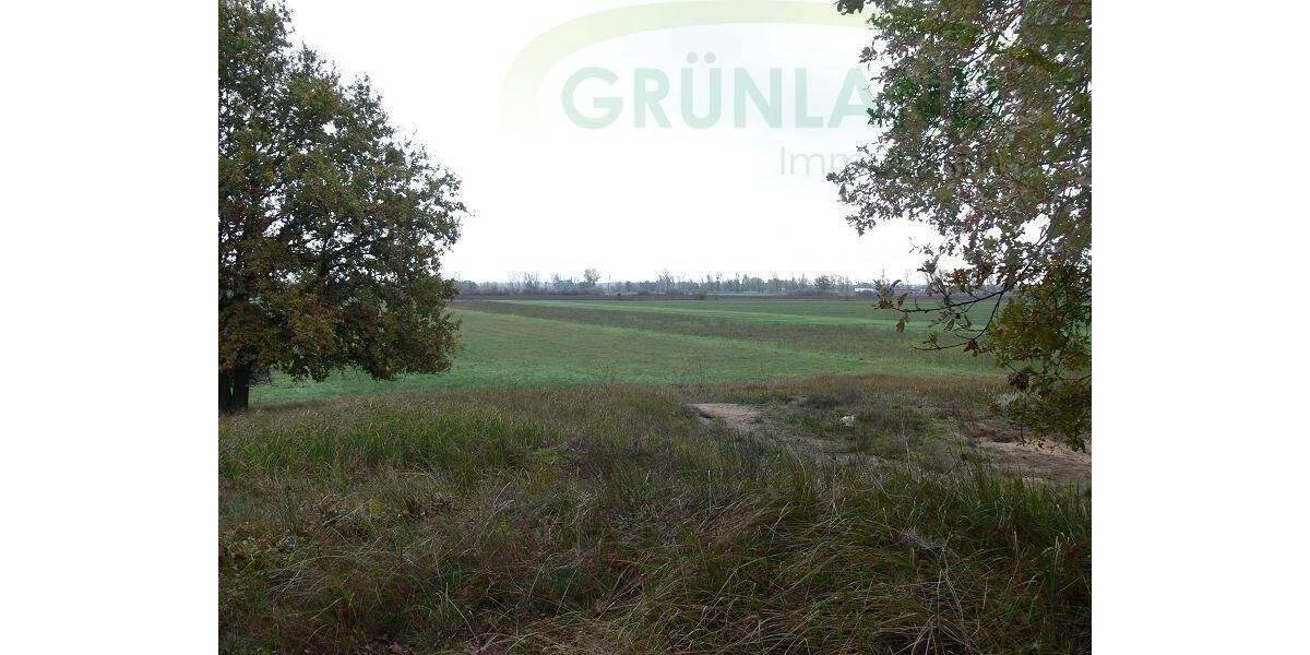 Grundstück Eisenhüttenstadt - 650.000&euro; | Angebot:25799335