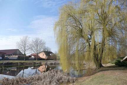 Grundstück niederjesar - 65.000&euro; | Angebot:25931943