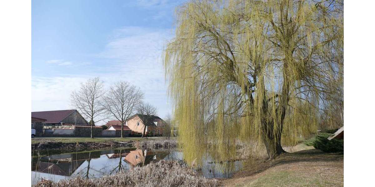 Grundstück niederjesar - 65.000&euro; | Angebot:25931943