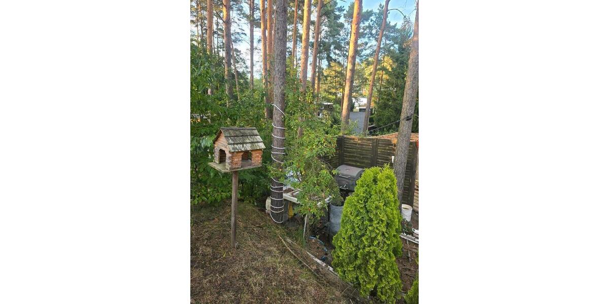 Bungalow Eisenhüttenstadt - 3 Zimmer, 50 m&sup2;, 75.000&euro; | Angebot:22230541