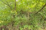 Einfamilienhaus Brieskow-Finkenheerd Finkenheerd - 55.000&euro; | Angebot:26710195