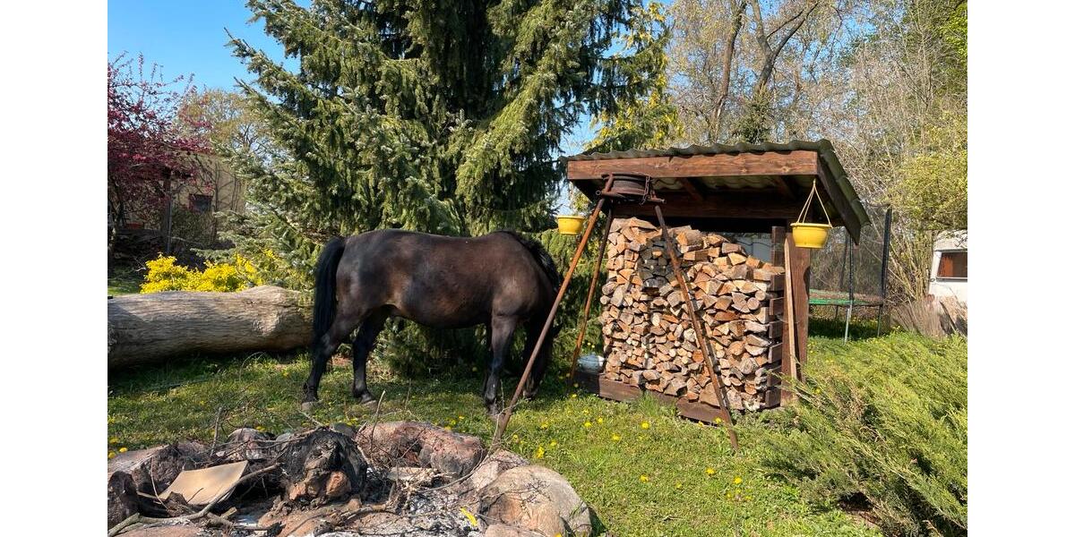 Erdgeschoßwohnung Steinhöfel - 1 Zimmer, 8 m&sup2;, 350&euro; | Angebot:25755498