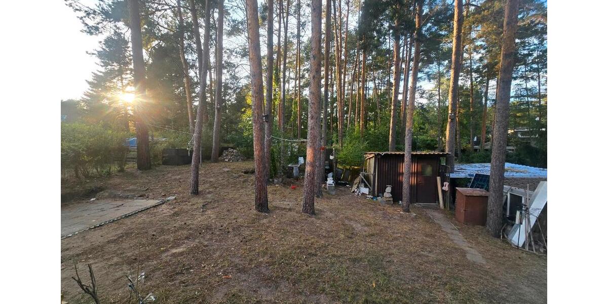 Bungalow Eisenhüttenstadt - 3 Zimmer, 50 m&sup2;, 75.000&euro; | Angebot:22230541