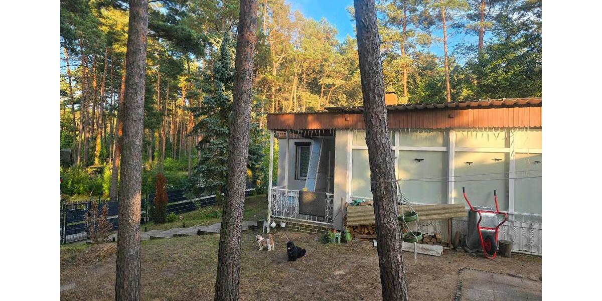 Bungalow Eisenhüttenstadt - 3 Zimmer, 50 m&sup2;, 75.000&euro; | Angebot:22230541