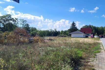 Grundstück Beeskow - 50.990&euro; | Angebot:25923873