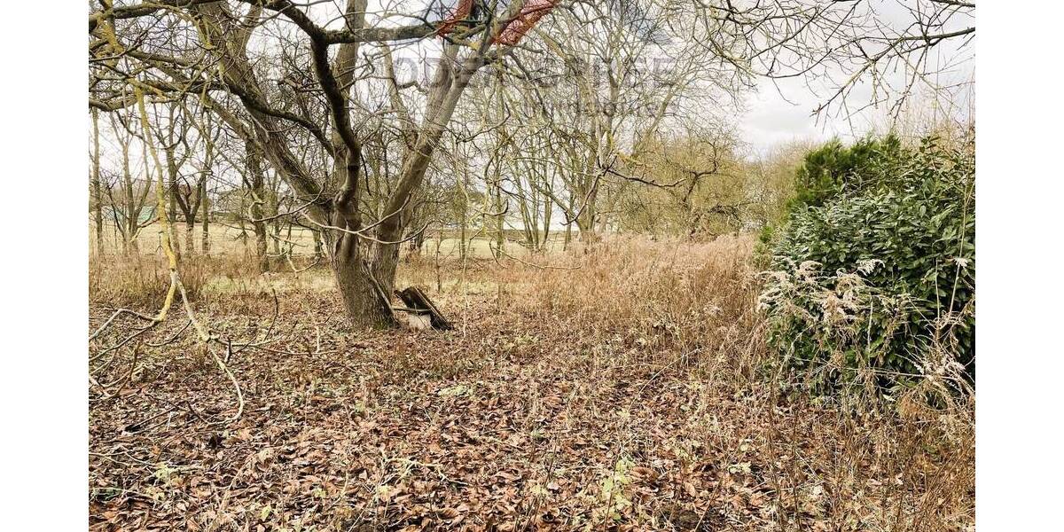 Einfamilienhaus Steinhöfel / Heinersdorf Heinersdorf - 8 Zimmer, 178 m&sup2;, 215.000&euro; | Angebot:25735402